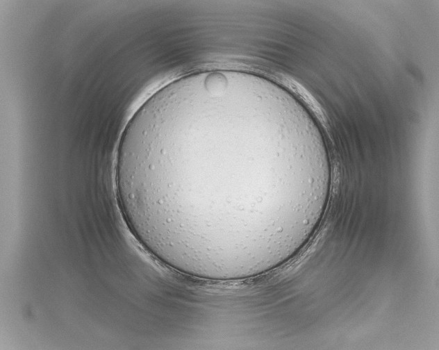 X0000116291386200911300943