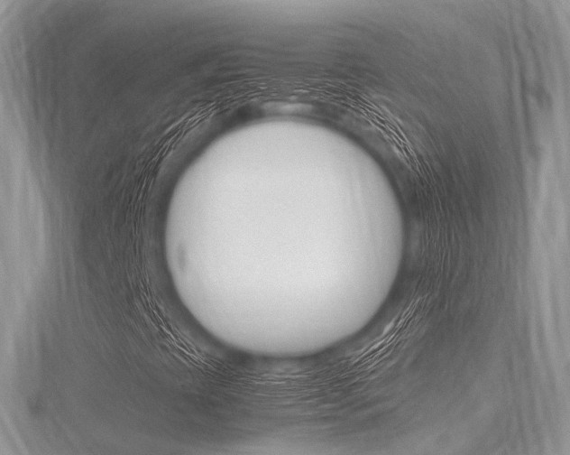 X0000116291393200911300943