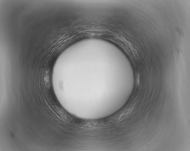X0000116291396200911300943