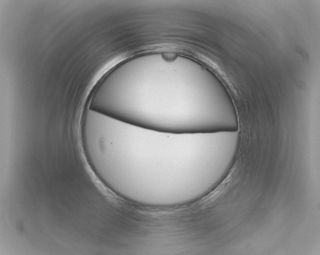 X0000116291426200911300943