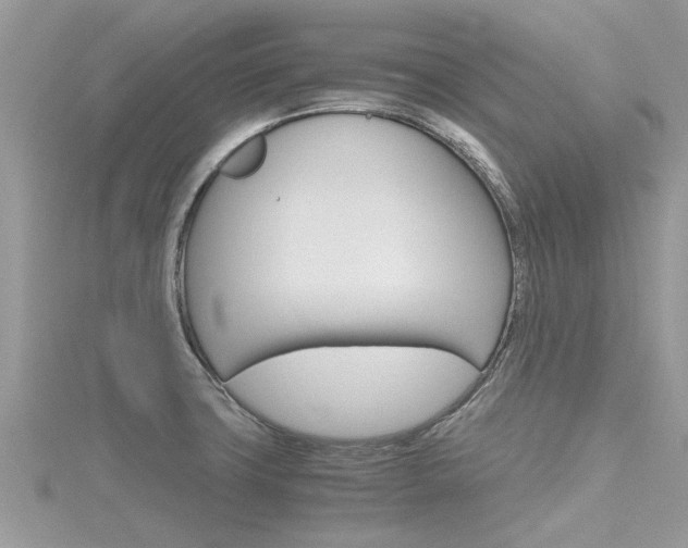 X0000116291427200911300943