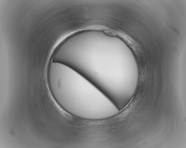 X0000116291430200911300943