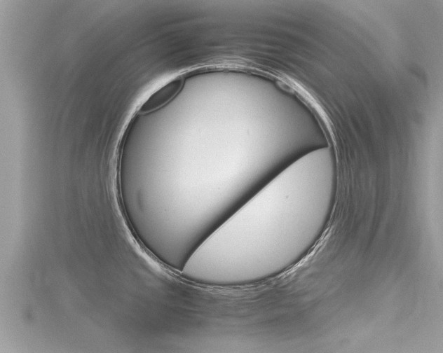 X0000116291437200911300943