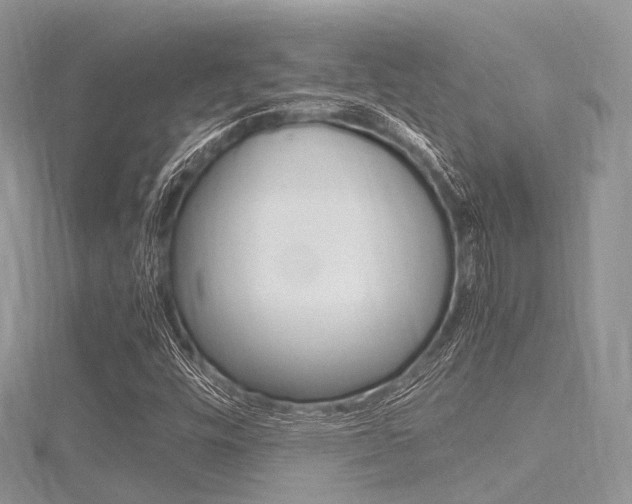 X0000116291448200911300943