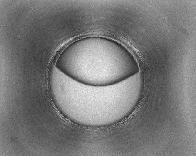 X0000116291452200911300942