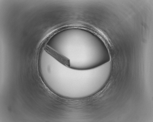 X0000116291456200911300942