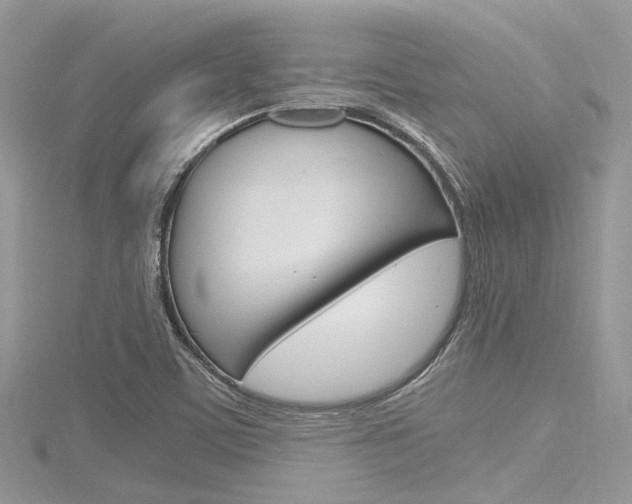 X0000116291459200911300942