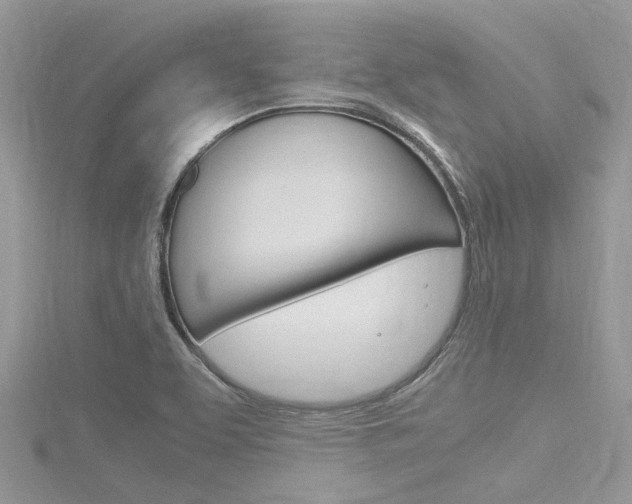 X0000116291463200911300942