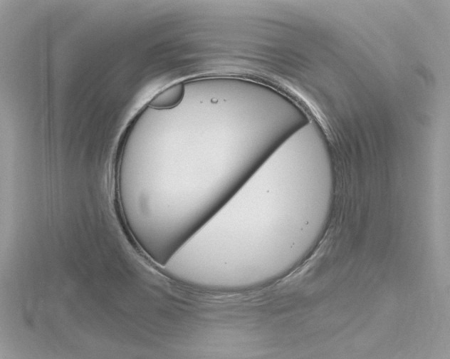 X0000116291467200911300942