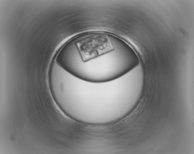 X0000116291468200911300942