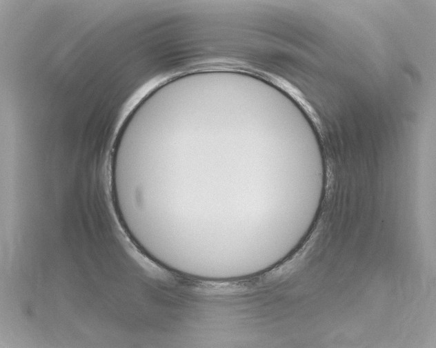 X0000116291474200911300942