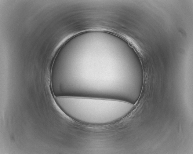 X0000116291476200911300942