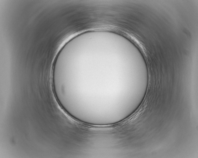 X0000116291487200911300942