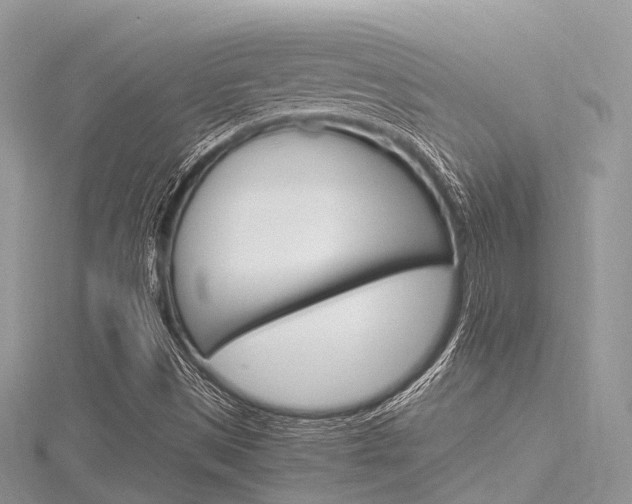 X0000116291497200911300941