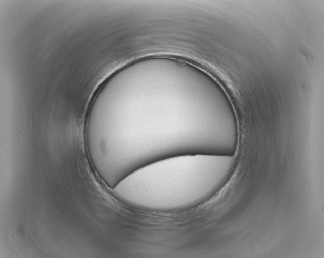 X0000116291513200911300942