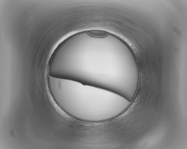 X0000116291526200911300942