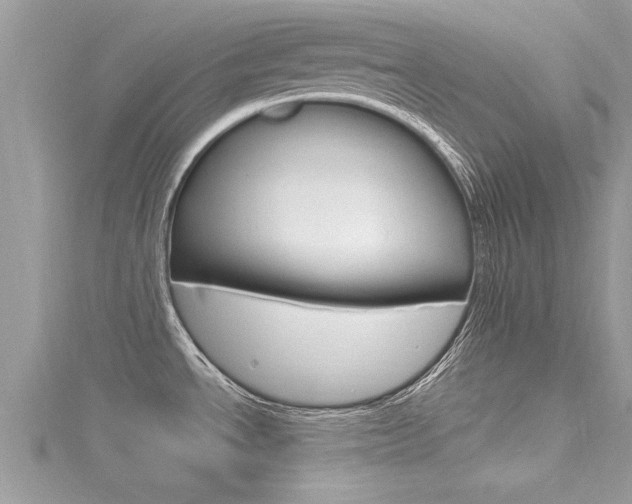 X0000116291534200911300942
