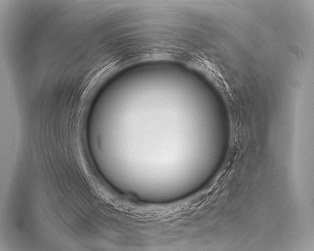 X0000116290001200911301428