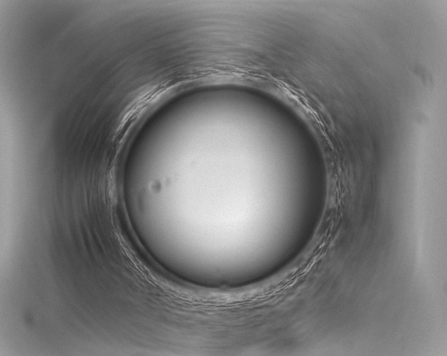 X0000116290002200911301428