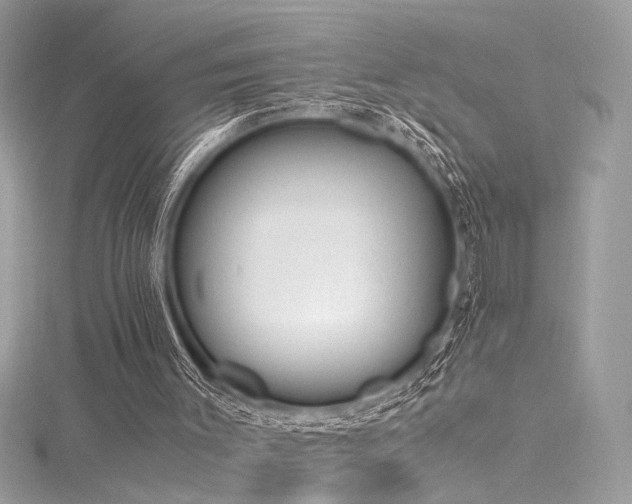 X0000116290003200911301428