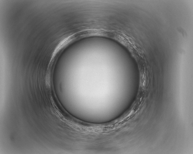 X0000116290004200911301428