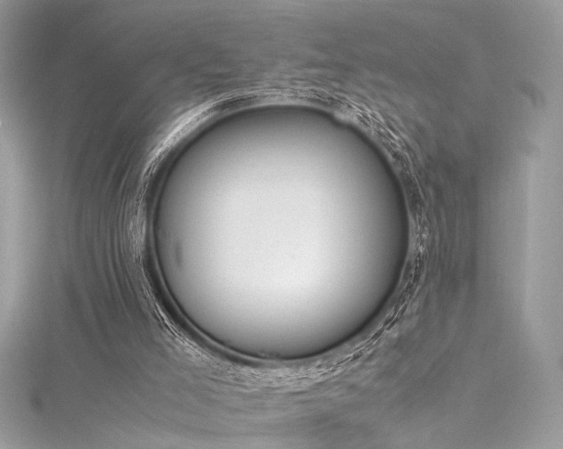 X0000116290005200911301428