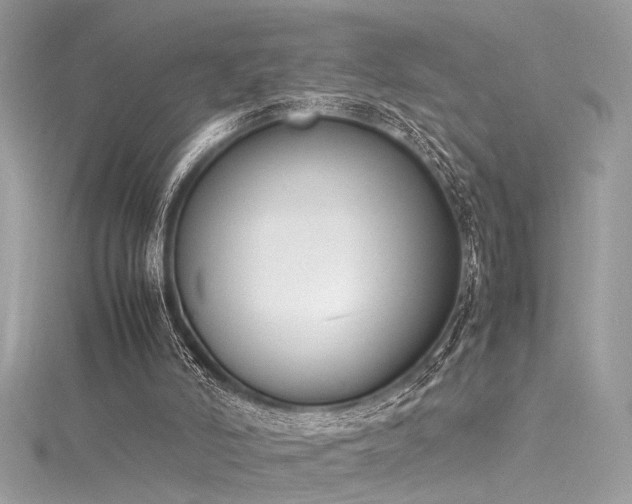 X0000116290006200911301428