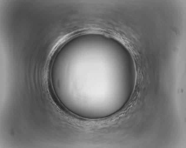 X0000116290007200911301428