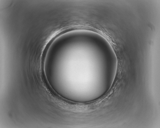 X0000116290008200911301428