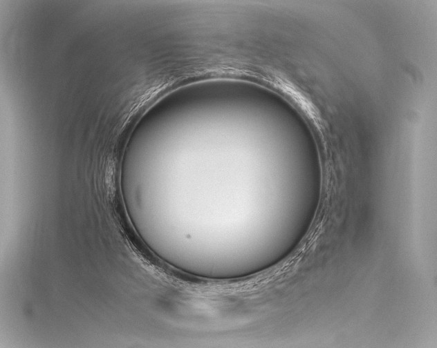 X0000116290009200911301428