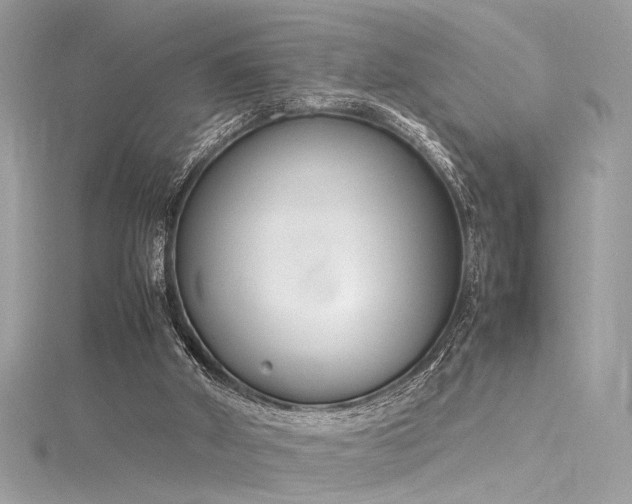 X0000116290010200911301428