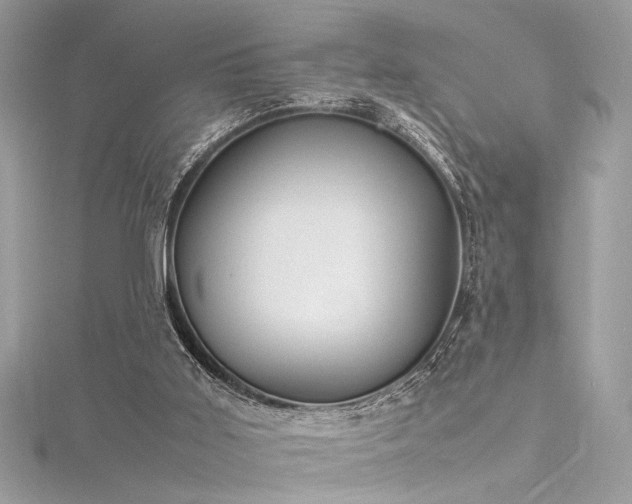 X0000116290011200911301428