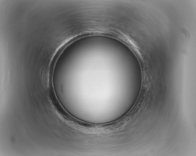 X0000116290012200911301428