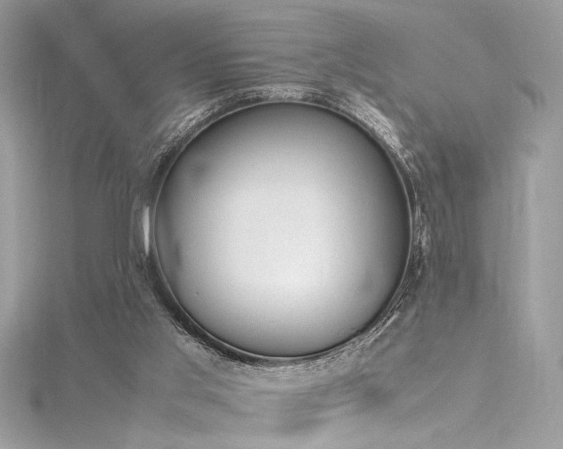 X0000116290013200911301428