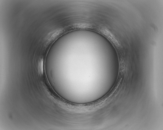 X0000116290014200911301428