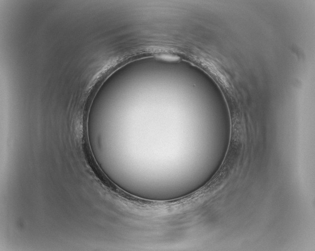 X0000116290015200911301428