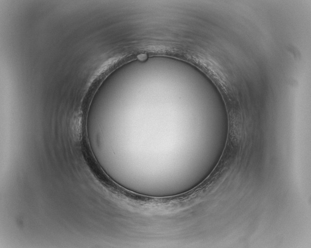 X0000116290016200911301428