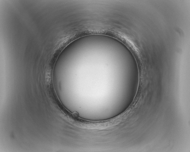 X0000116290017200911301428