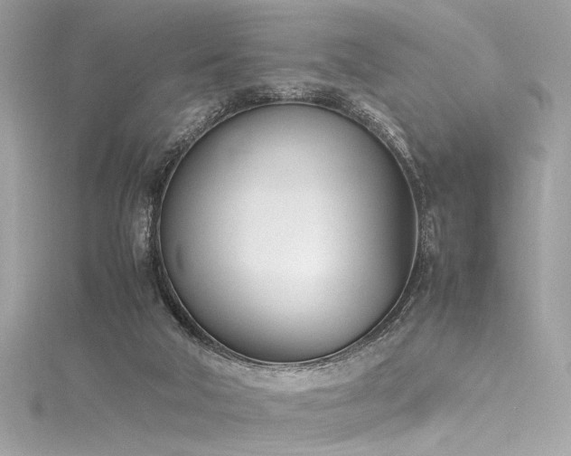 X0000116290018200911301428