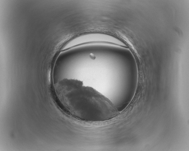 X0000116290019200911301428