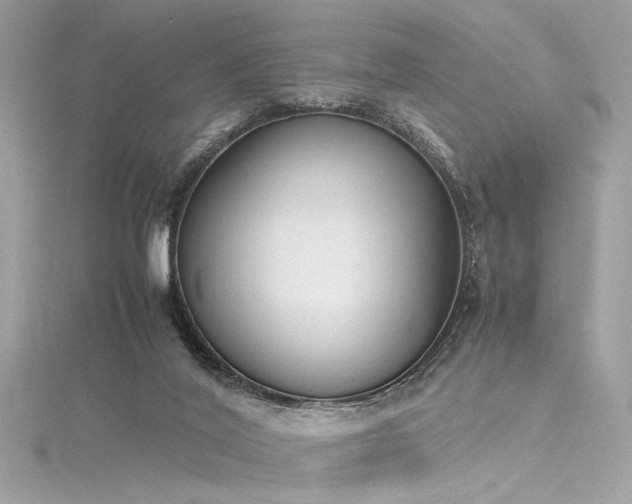 X0000116290020200911301428