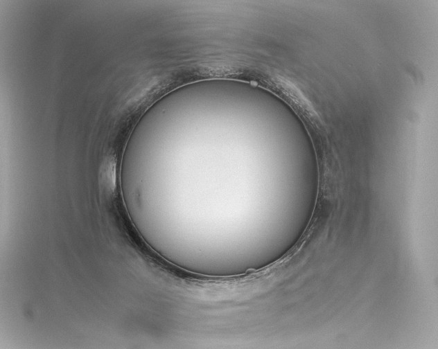 X0000116290021200911301428