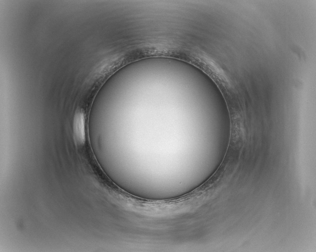 X0000116290022200911301428