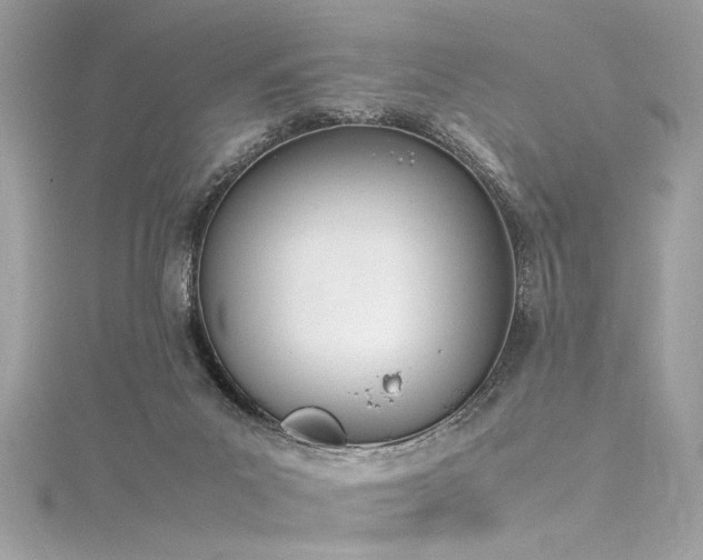 X0000116290023200911301428