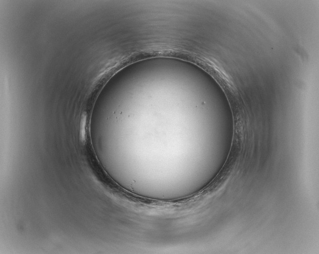 X0000116290024200911301428