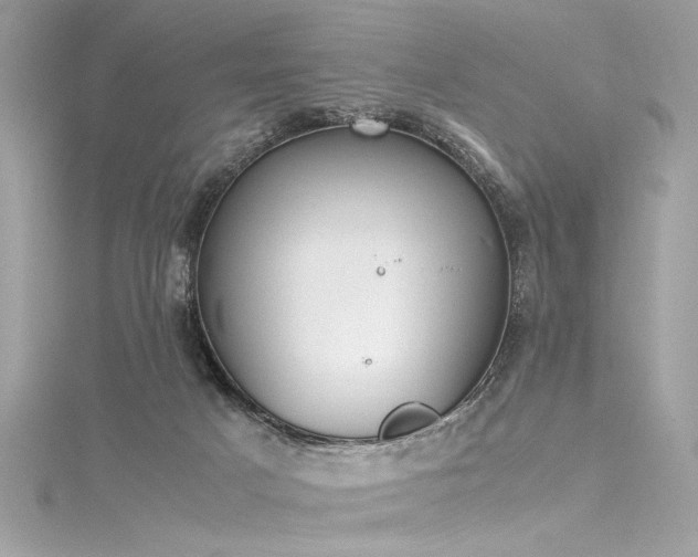 X0000116290025200911301428