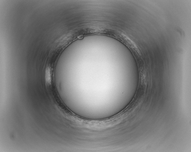 X0000116290026200911301428