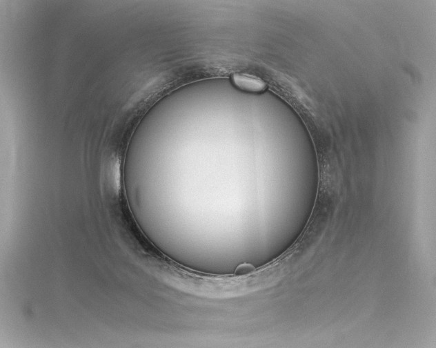 X0000116290027200911301428