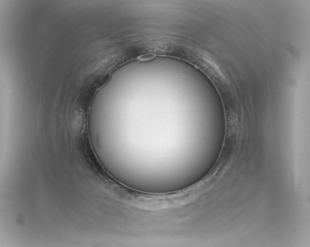 X0000116290029200911301428