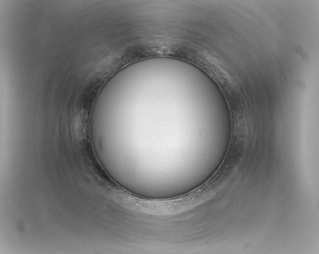 X0000116290030200911301428